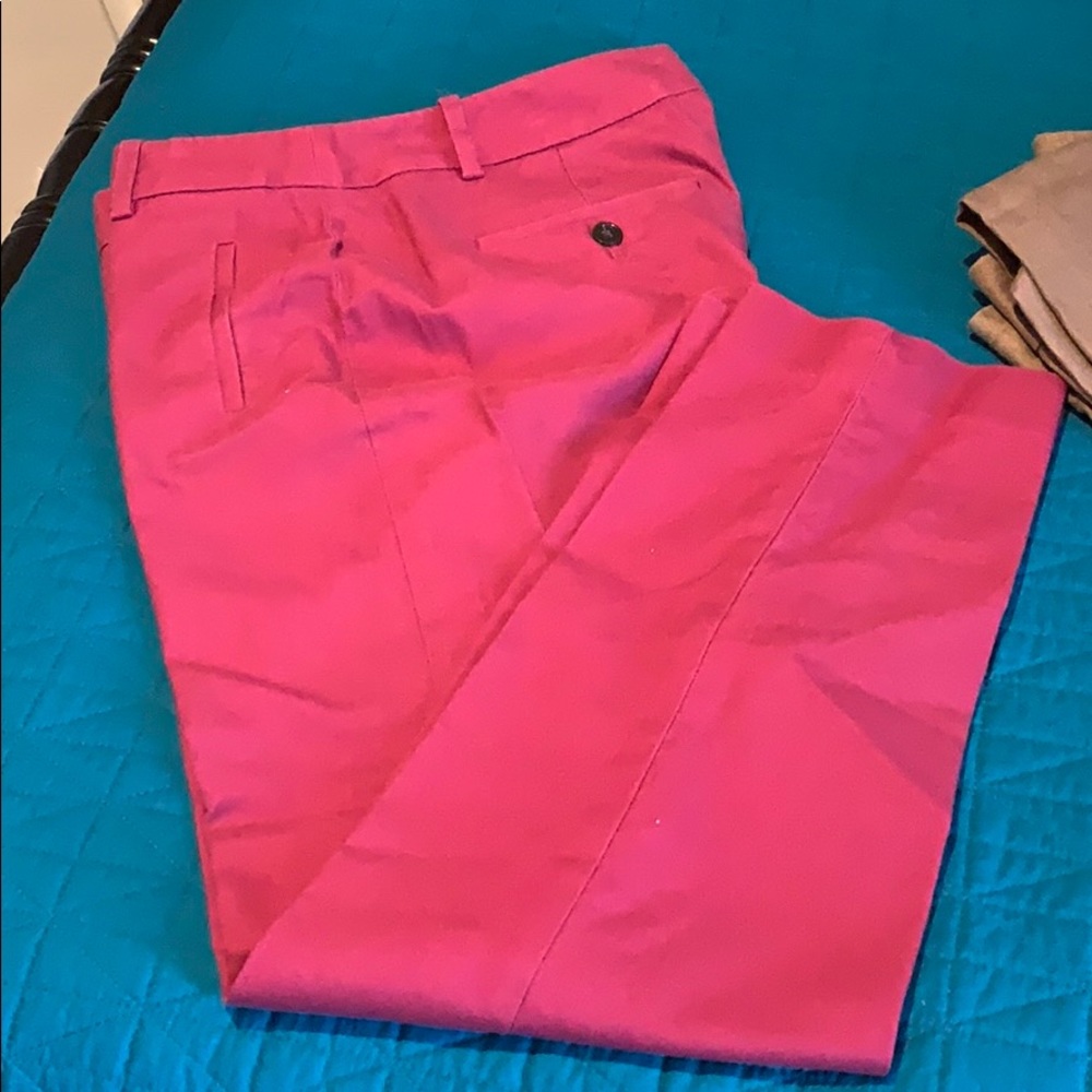 Loft Skinny Pants